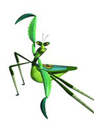 功夫熊猫演员表螳螂剧照图片