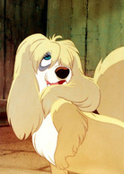 小姐与流氓演员表蓓姬剧照图片