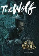 魔法黑森林演员表大灰狼剧照图片