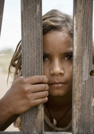 澳洲乱世情演员表那拉（Nullah）剧照图片