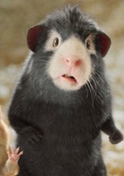 豚鼠特工队演员表布莱斯特剧照图片