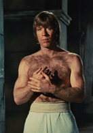 猛龙过江演员表柯尔特剧照图片