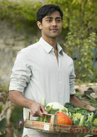 米其林情缘演员表哈山剧照图片