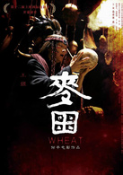 麦田演员表祭司婆剧照图片