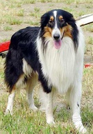 阿宝的故事演员表阿宝剧照图片