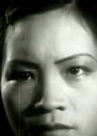 风云儿女演员表阿凤剧照图片