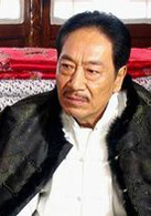 日照重庆演员表老金剧照图片