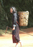 太阳照常升起演员表疯妈剧照图片