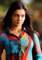 功夫小蝇演员表宾都剧照图片