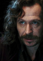 哈利·波特与凤凰社演员表小天狼星剧照图片