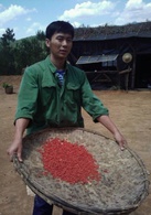 杨善洲演员表周波剧照图片