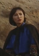 方世玉演员表苗翠花剧照图片