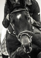 奔腾年代演员表海饼干剧照图片