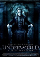 黑夜传说前传：狼族再起演员表尤剧照图片