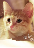 街角的小王子演员表小王子剧照图片