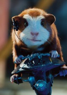 豚鼠特工队演员表达尔文剧照图片