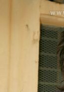 宝贝计划演员表百达通妻子剧照图片