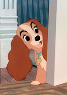 小姐与流氓演员表淑女剧照图片