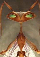 别惹蚂蚁演员表蚂蚁王后剧照图片