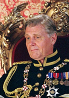 麻雀变王妃演员表哈利迪国王剧照图片