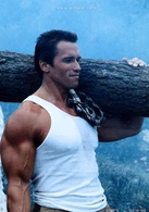 独闯龙潭演员表John Matrix 剧照图片