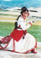 龙腾虎跃演员表柳云龙剧照图片