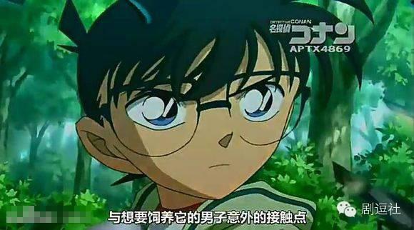 八一八动漫人物的整容史 蜡笔小新竟是网红脸