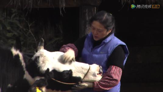 张琍因奶汐又偷吃而落泪 自责一直犯同样的错误