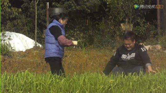 胖虎小学竟是学霸 一遇初中数学变学渣