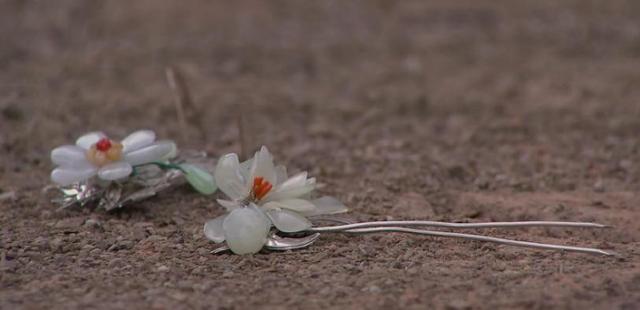 心疼黄轩：追妹子追到命没了 只换来“爱过”