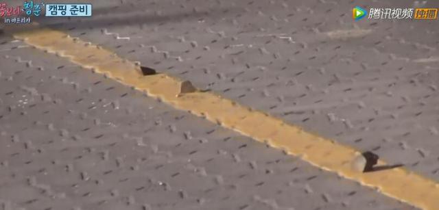 《请回答1988》你看对了吗？真正的CP在这里！