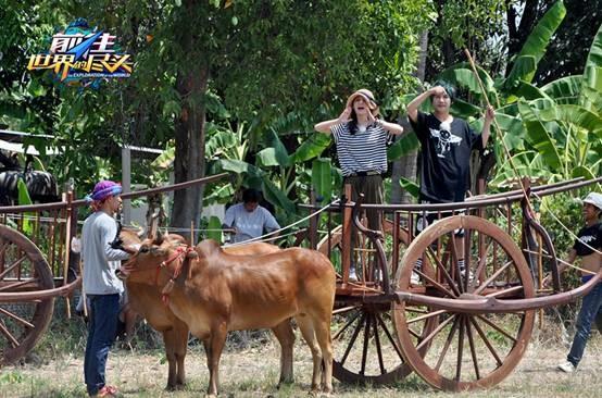 泰国人民已经被中国导演玩坏了