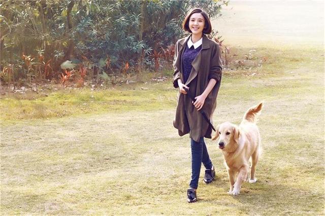 《因为爱情有幸福》问鼎黄金档 新式题材引关注