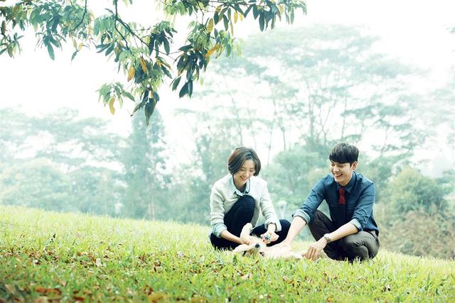 《因为爱情有幸福》问鼎黄金档 新式题材引关注