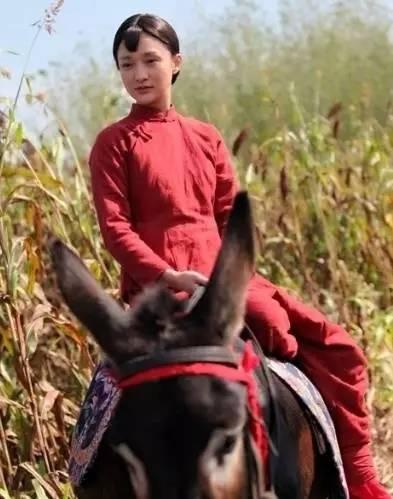 《如懿传》成2016宫廷剧担当 这次娘娘是周迅  