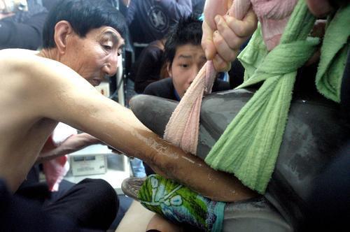 《群英会》2.36米“巨人”探手取物救海豚