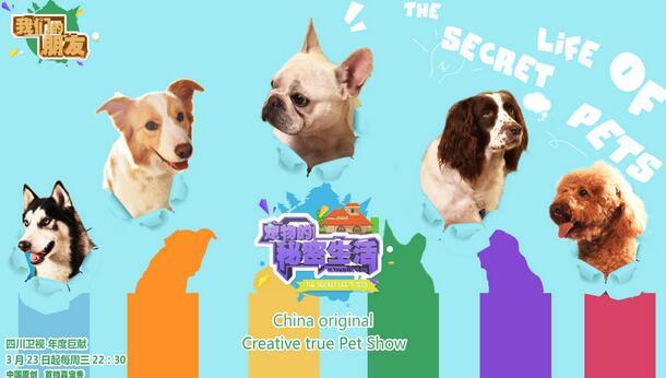 《宠物的秘密生活》首播告捷 动物的战争爆发