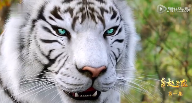 《武神赵子龙》首播 允儿仅出场五分钟不过瘾！