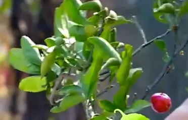 再怎么让你咽不下的剧，都不要轻言放弃……