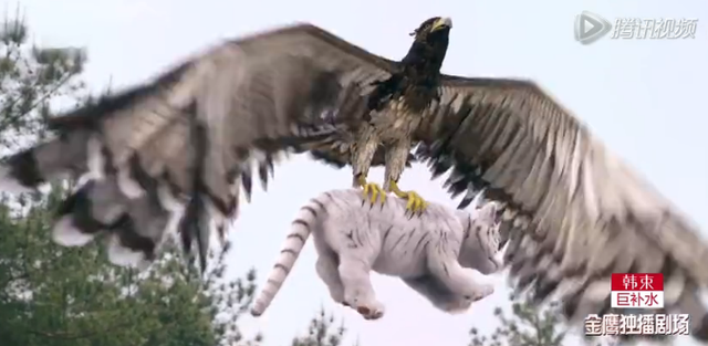 《武神赵子龙》首播 允儿仅出场五分钟不过瘾！