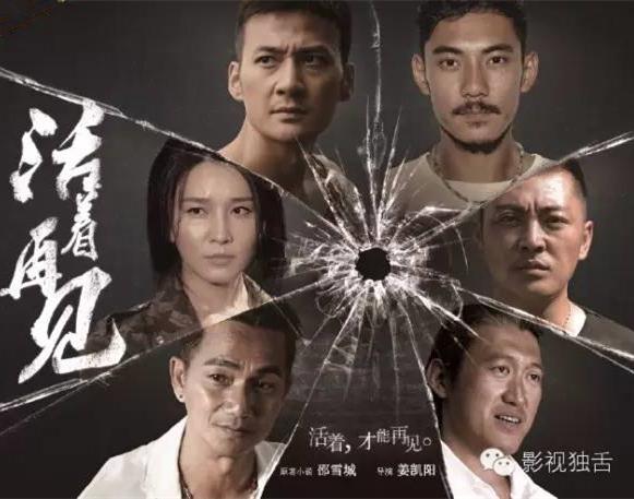 尹鸿：网络剧应该与电视剧实行差异化管理 