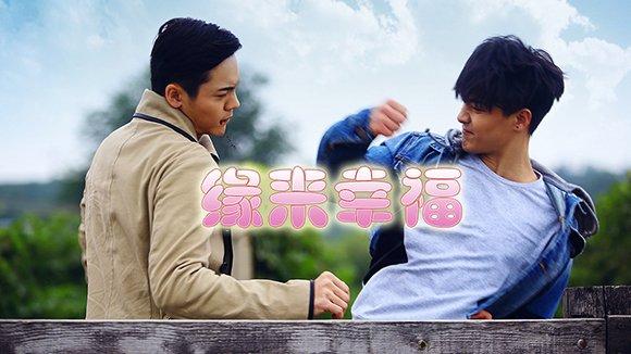 电视黄金档：终于等到你！男神凯凯王撩妹