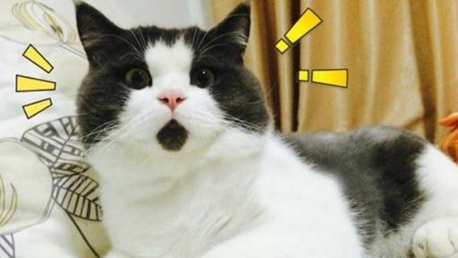 招黑体质的周冬雨又上热搜了 画风竟然是这样的