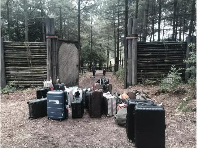 曹林 | 别因走得太远，而忘记为何出发