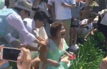 高双商贾玲：上可只手撕甄嬛 下可徒手擒芈月