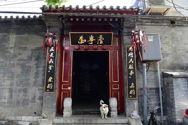 你们围观阮经天魏晨 我们潜入后方找到他们老巢