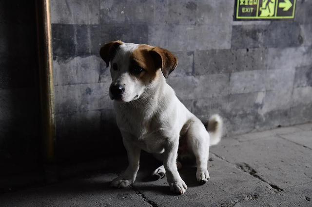 你们围观阮经天魏晨 我们潜入后方找到他们老巢