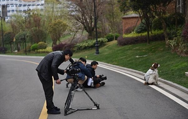 一文读懂《宠物的秘密生活》的三个秘密