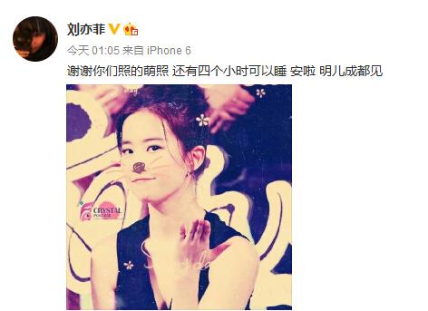 刘亦菲深夜送福利 晒萌萌哒喵咪PS美照