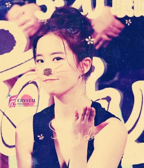 刘亦菲深夜送福利 晒萌萌哒喵咪PS美照